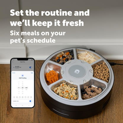 Refrigerated Pet Feeder With 6 Fresh Meals