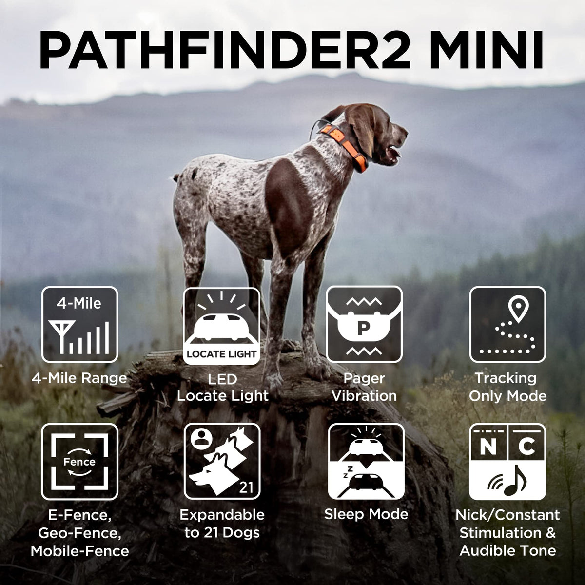 GPS Dog Tracker With 9-Mile Range & Training