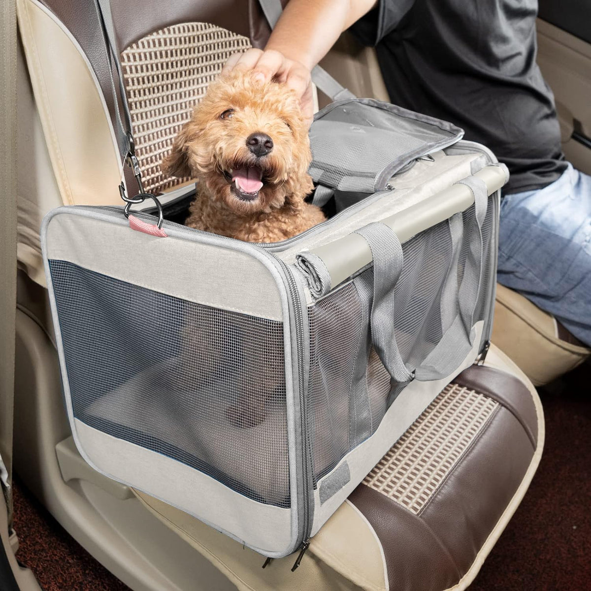 Soft-Sided Pet Carrier for Large & Medium Cats