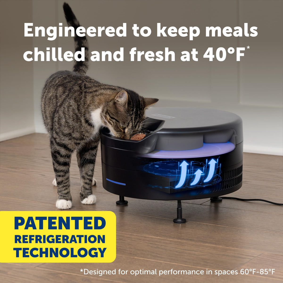Refrigerated Pet Feeder With 6 Fresh Meals