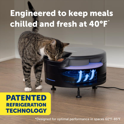 Refrigerated Pet Feeder With 6 Fresh Meals