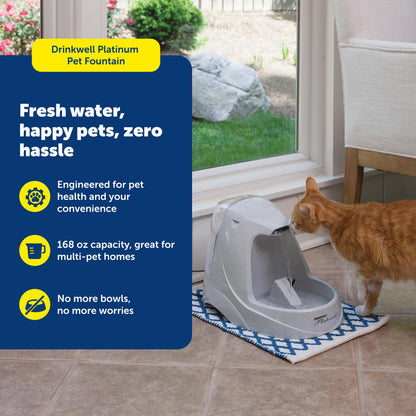 5L Pet Water Fountain With Continuous Fresh Flow