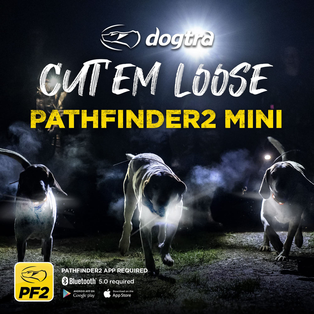GPS Dog Tracker With 9-Mile Range & Training