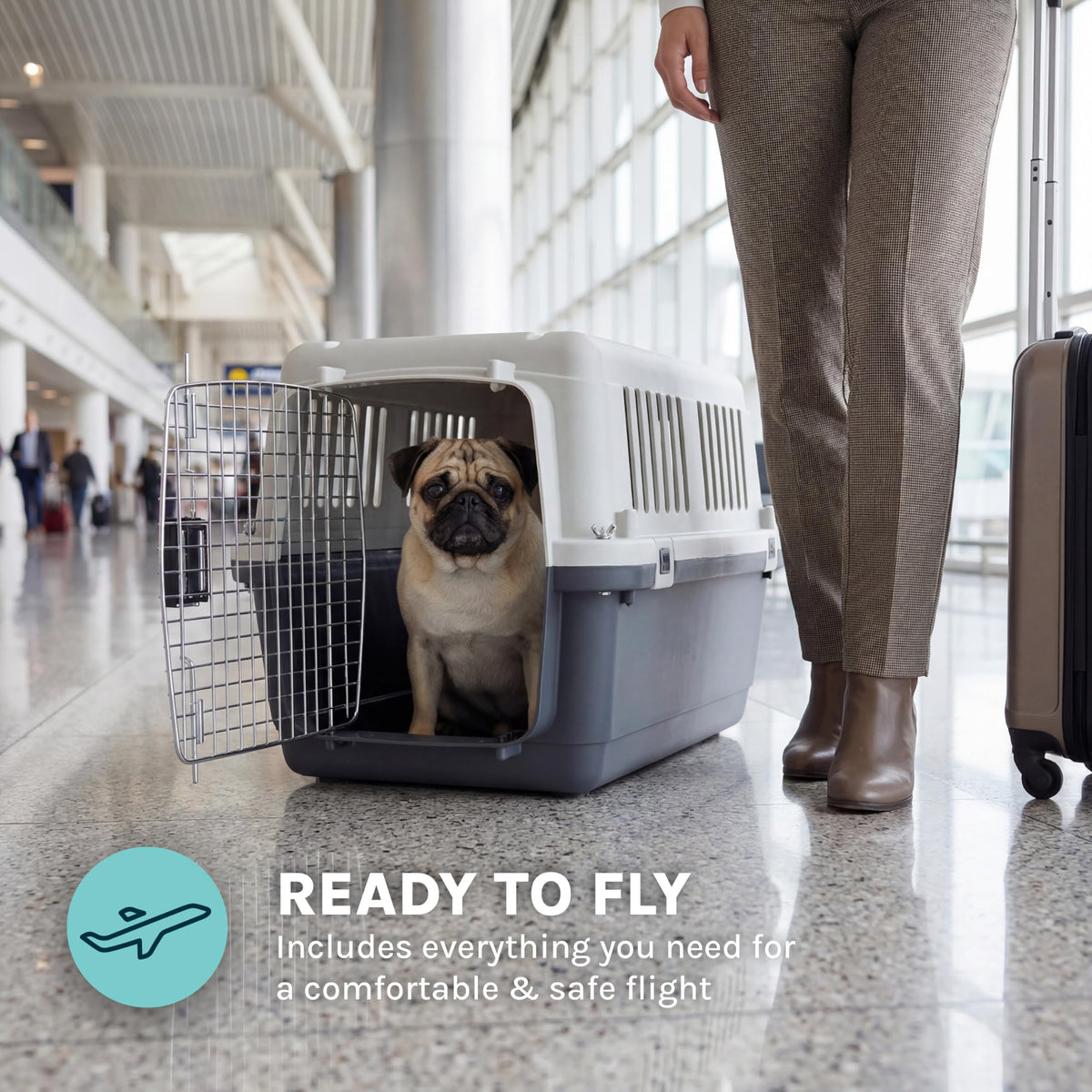 Airline-Compliant Travel Dog Kennel With Food Bowls