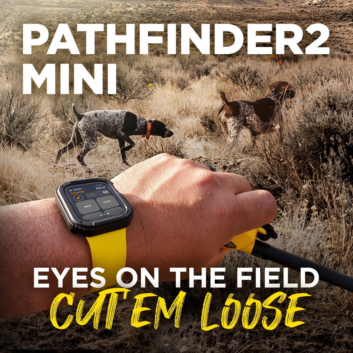 GPS Dog Tracker With 9-Mile Range & Training
