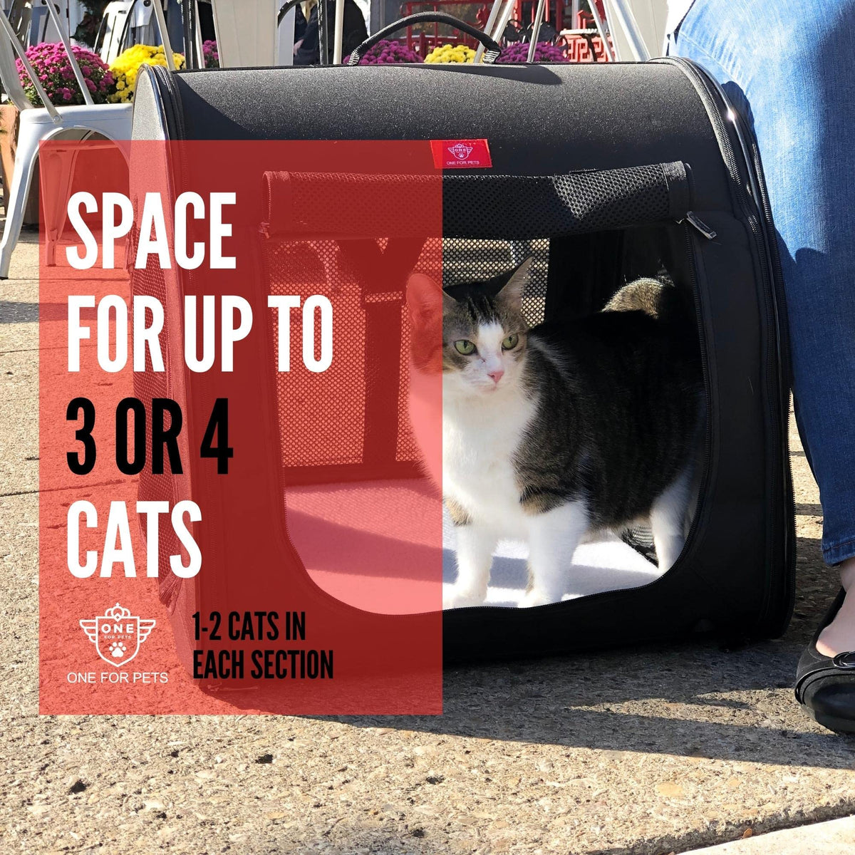 Portable 2-in-1 Double Pet Travel Kennel